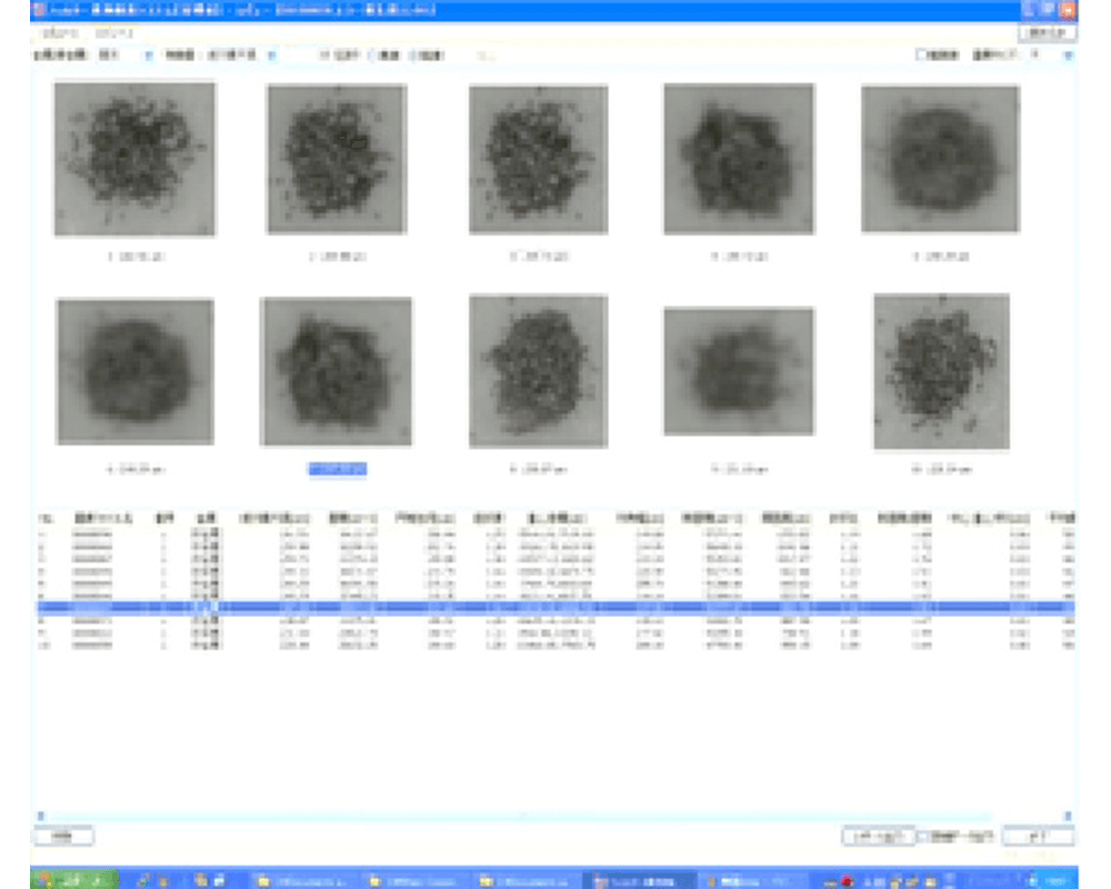 Contami Analyzer 晶圓缺陷檢查